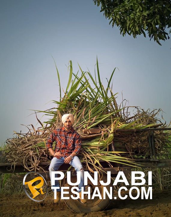 5 Taara Diljit Dosanjh 3